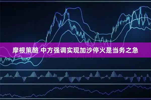摩根策酪 中方强调实现加沙停火是当务之急
