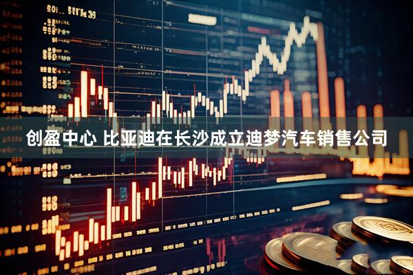 创盈中心 比亚迪在长沙成立迪梦汽车销售公司