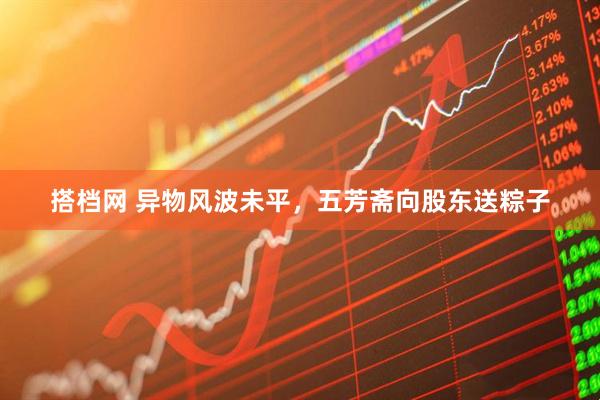 搭档网 异物风波未平，五芳斋向股东送粽子