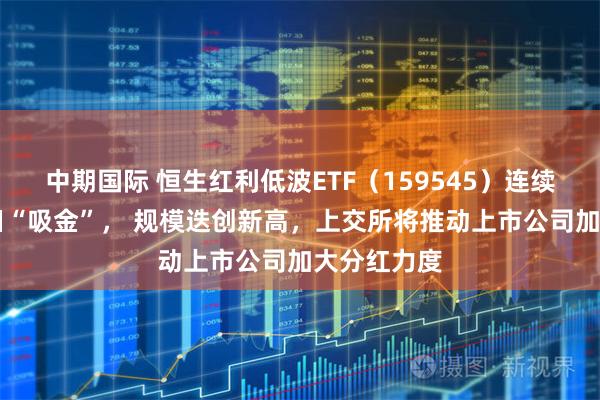 中期国际 恒生红利低波ETF（159545）连续17个交易日“吸金”， 规模迭创新高，上交所将推动上市公司加大分红力度