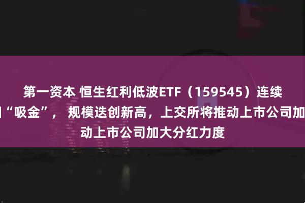 第一资本 恒生红利低波ETF（159545）连续17个交易日“吸金”， 规模迭创新高，上交所将推动上市公司加大分红力度