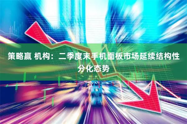 策略赢 机构：二季度末手机面板市场延续结构性分化态势