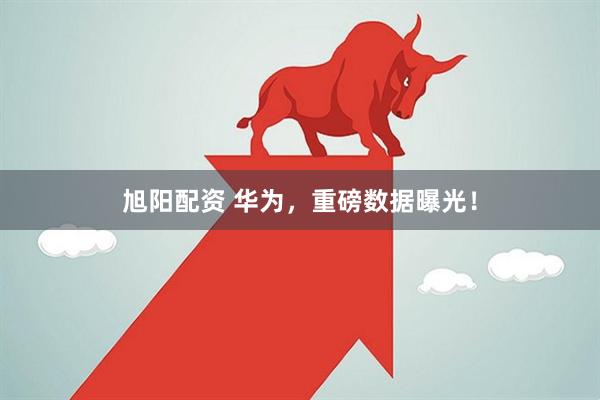 旭阳配资 华为，重磅数据曝光！