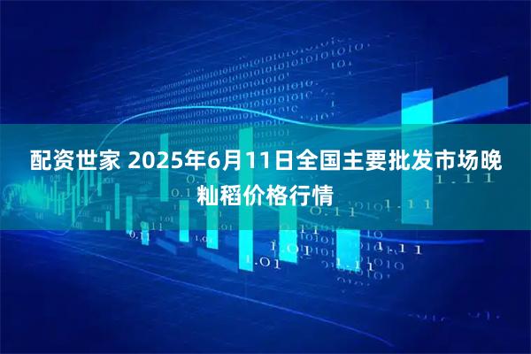 配资世家 2025年6月11日全国主要批发市场晚籼稻价格行情