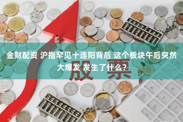 金财配资 沪指罕见十连阳背后 这个板块午后突然大爆发 发生了什么？